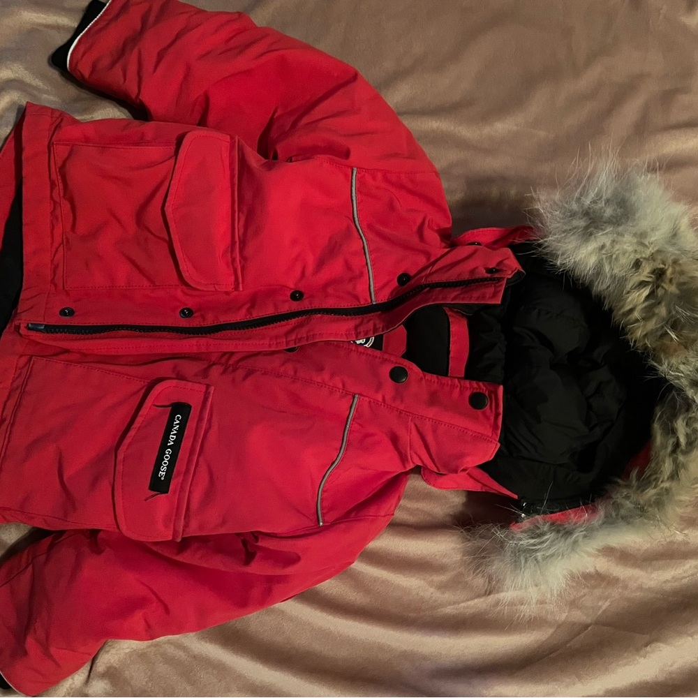 Toddler Girl 2-3T worn
